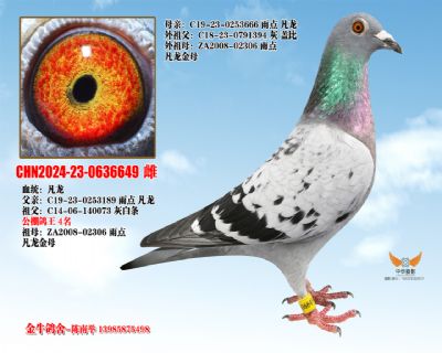 ������Ѫ