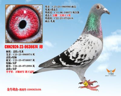 ������Ǳ�