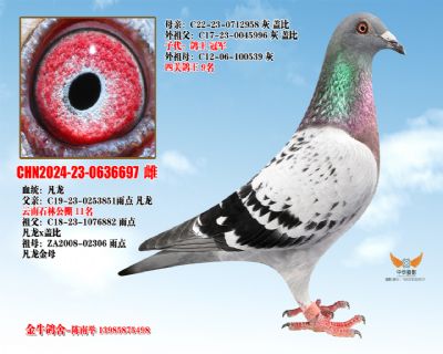 ������Ǳ�