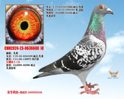 ������Ѫ