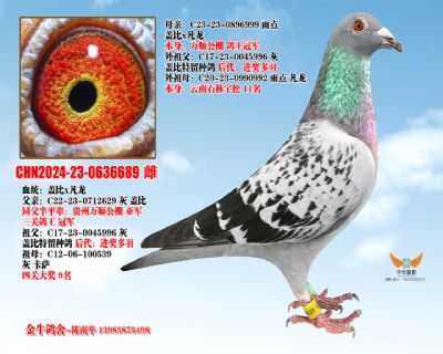 �Ǳ��䷲��