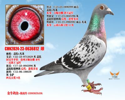 �Ǳ��䷲��