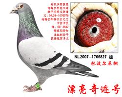 游