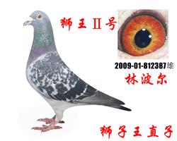 游