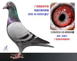 游