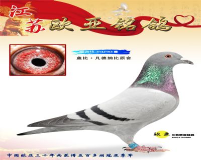 WN3-7-BE2016-3142153.jpg_