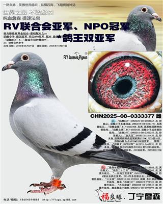 RVϻǾNPOھ