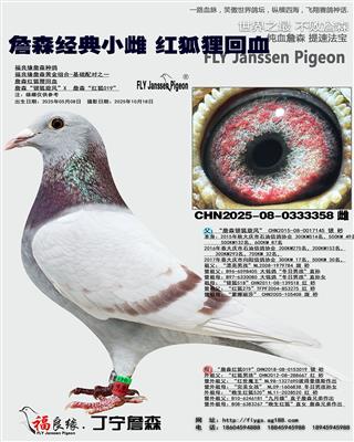 ղɭ�t��؂��Ѫ