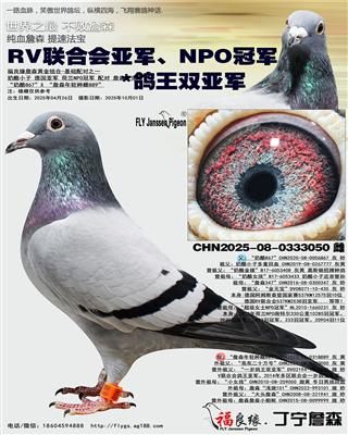 RVϻǾNPOھ