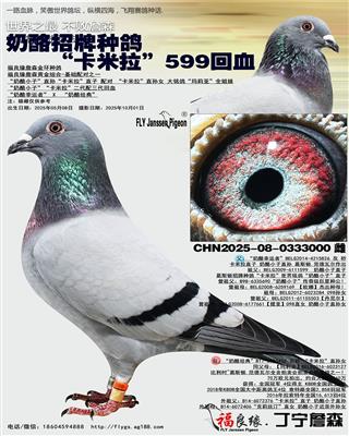 ָ롰599Ѫ