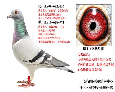 ĸ931-ũ111