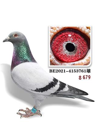 ʱ911ȫֱŮ761