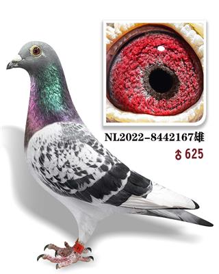 ҫ167