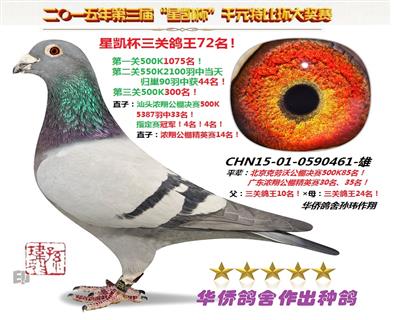 ǿظ72