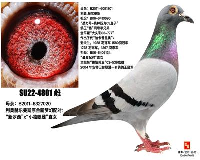 4801