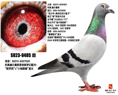 9405