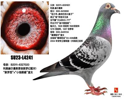 4241