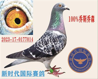 Ϊʮѵ˳鳲