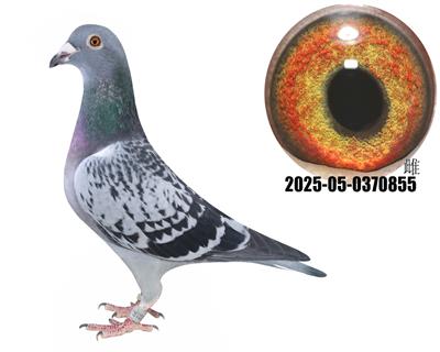 ʨֱ24ھ֮ĸ