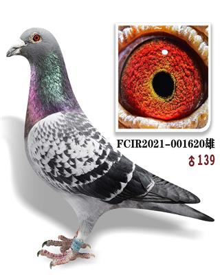 ׸ٶȸھֱ620