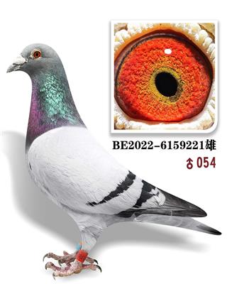 221