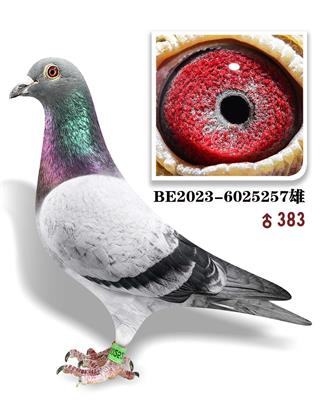 Ů
