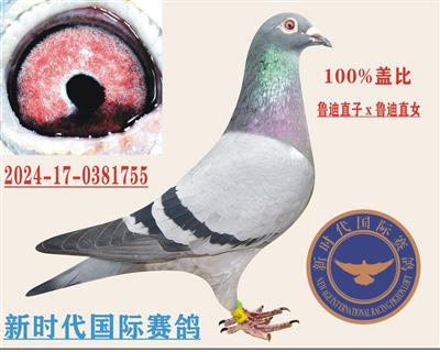 wȡ?sh)ϡֱx?sh)ϡֱ? /></a>
            
            </span>
            </td>
              </tr>
            </table>
            <table width=