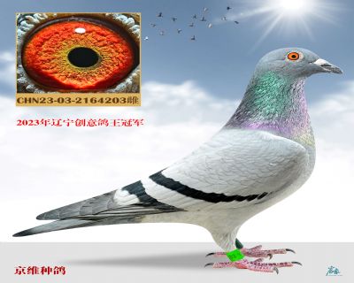 CHN23-03-2164203