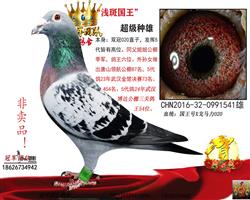 ����һǳ�߹�����