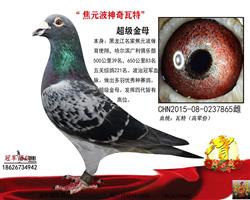 ĸ��һ��Ԫ����λ����