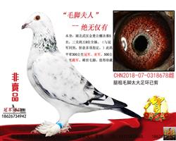 ĸ��һë�ŷ���