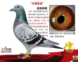 ĸ��һ����54������