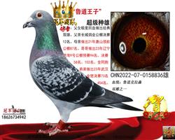 ���游һ³������