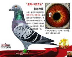 ĸ��һ����45�����