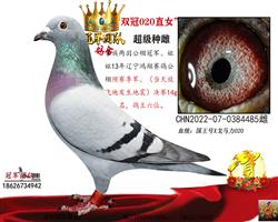 ĸ��һ��������