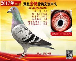 ����֮һ�������5��