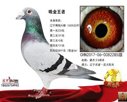 �Ƹ븸��һ��������1