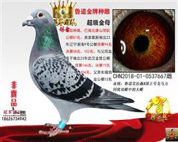 �Ƹ�ĸ��һ³��������