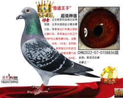 ����һ³������