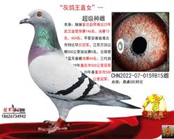 �Ҹ���ֱŮ������54