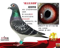 ���׹ھ�ʷ����˹