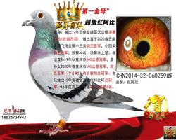 �۸�ĸ��һ�����һ��