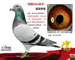 �Ƹ�ĸ��һ����666