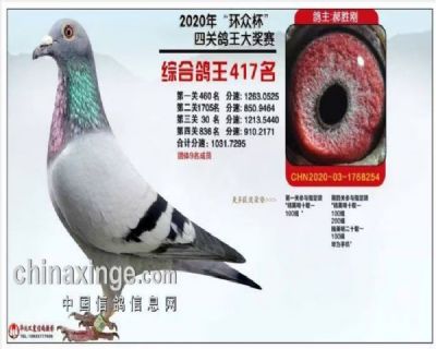 �Ĺظ���417��