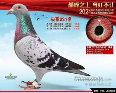 �������891��