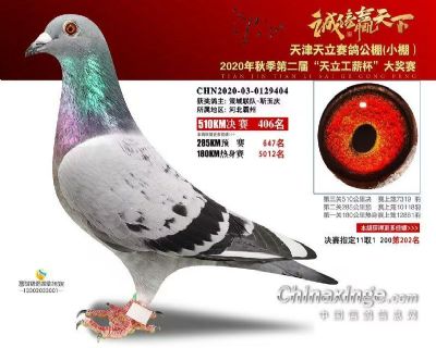 �������빫��406��