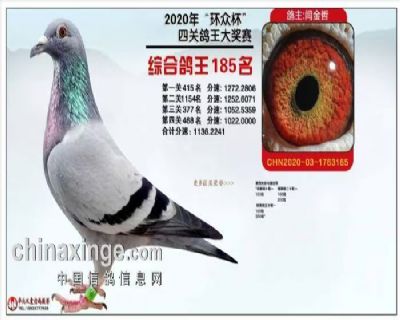 �Ĺظ���185��