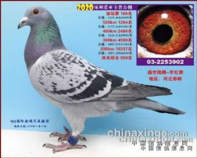 ���ǿ��չ���166��