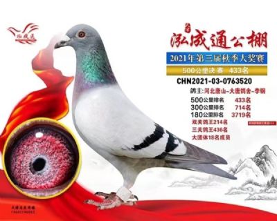 �������433��