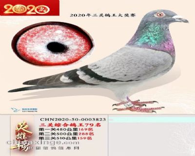 ���ظ���79λ